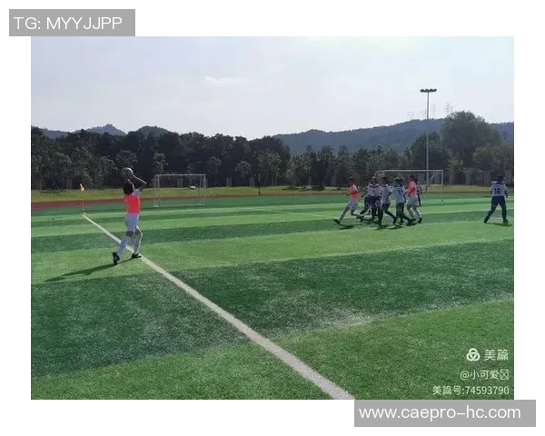 南京足球队在冠军赛中的灵活性展现与战术调整分析