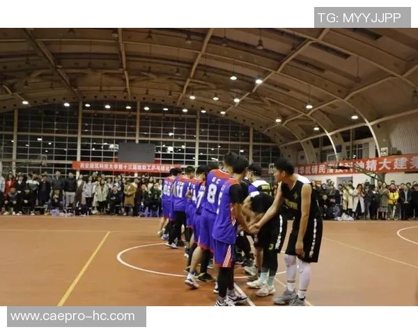 西安篮球队近期状态分析及表现评估探讨