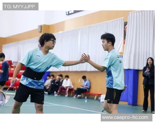 羽毛球耐力排行榜揭晓上海羽毛球队荣获第六名佳绩